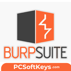 Burp Suite Professional 2024.3.1.3 Lifetime License